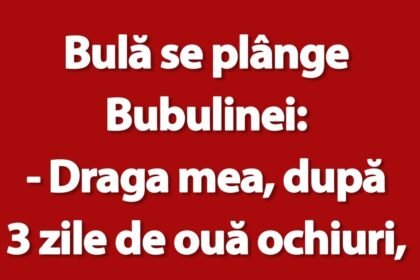 banc-|-bula,-bubulina-si-ouale-ochiuri
