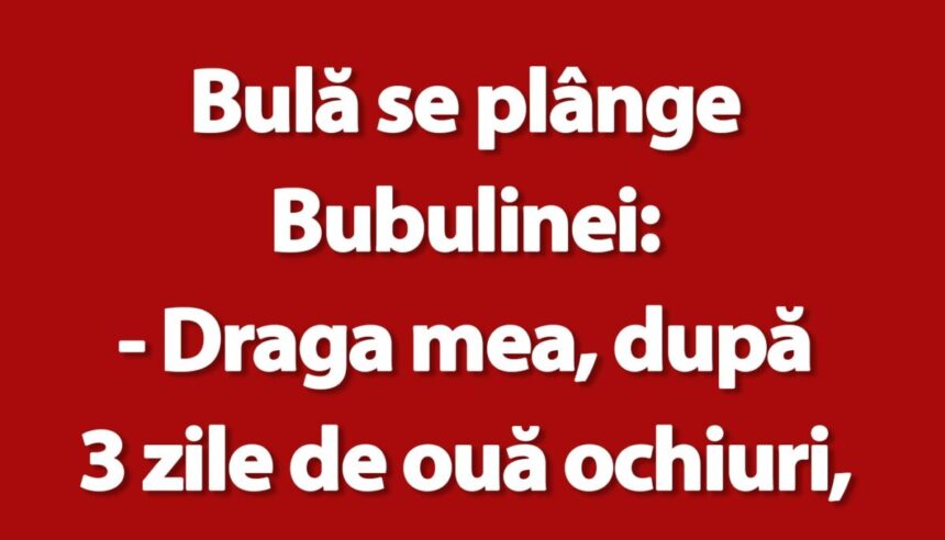 banc-|-bula,-bubulina-si-ouale-ochiuri