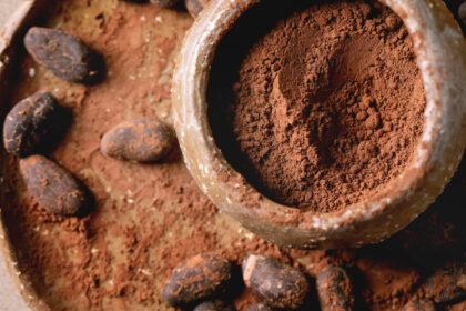 cum-au-reusit-cultivatorii-de-cacao-din-bolivia-sa-tina-piept-febrei-aurului.-agricultura-ecologica-a-invins-industria-miniera