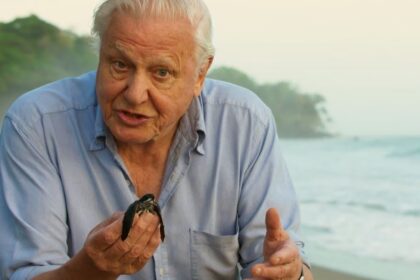 naturalistul-britanic-david-attenborough,-facut-sir-de-regina-elisabeta-a-ii-a,-implineste-100-de-ani.-de-ce-este-supranumit-vocea-naturii
