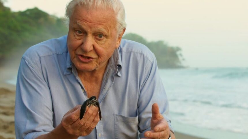 naturalistul-britanic-david-attenborough,-facut-sir-de-regina-elisabeta-a-ii-a,-implineste-100-de-ani.-de-ce-este-supranumit-vocea-naturii