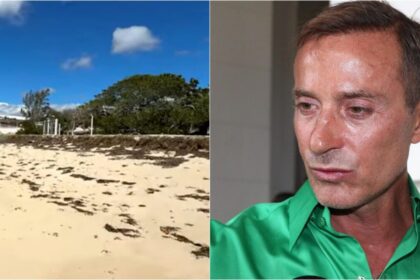 radu-mazare-povesteste-cum-si-a-facut-complexul-de-bungalouri-din-madagascar.-fiecare-constructie-are-cate-o-soparla-vie