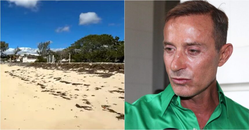 radu-mazare-povesteste-cum-si-a-facut-complexul-de-bungalouri-din-madagascar.-fiecare-constructie-are-cate-o-soparla-vie