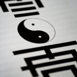 de-ce-foloseste-un-profesor-roman-din-sua-simbolul-yin-si-yang-la-cursuri.-lectia-despre-confort-si-haos
